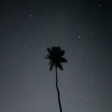 Micah Kolk dinle, müzik videolarını izle, biyografisini oku, tur tarihlerini ve daha fazlasını gör!