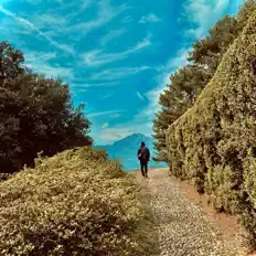 Ascolta Jozeque, guarda video musicali, leggi la biografia, vedi le date del tour & altro!