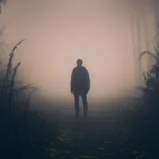 Écoutez Fallowhead, regardez des vidéoclips, lisez la biographie, consultez les dates de tournée et plus encore !