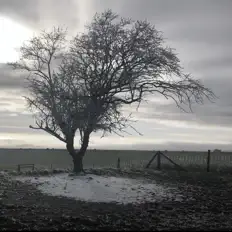 Hör dir Lande an, schau dir Musikvideos an, lies die Biografie, finde Tourdaten und mehr!
