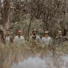 Ascolta The Rookies, guarda video musicali, leggi la biografia, vedi le date del tour & altro!