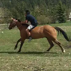 Poslechněte si interpreta Gabriel J Cochran, sledujte hudební videa, přečtěte si životopis, podívejte se na data turné a další informace.