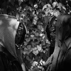 聆聽 The Proximity Assembly、觀看音樂影片、閱讀小傳、查看巡演日期等！