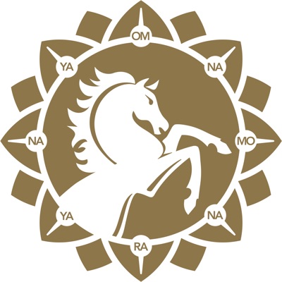 Listen to Bhakti Marga Music, watch music videos, read bio, see tour dates & more!