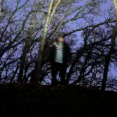 聆聽 2 2 2、觀看音樂影片、閱讀小傳、查看巡演日期等！