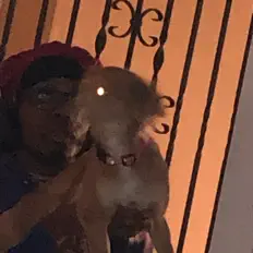 收听 OhLookIt’sVBreezy、观看音乐视频、阅读小传、查看巡演日期等 ！