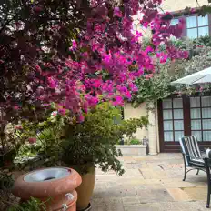 Écoutez Wilod, regardez des vidéoclips, lisez la biographie, consultez les dates de tournée et plus encore !