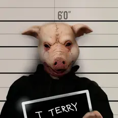 Terry Tを聴いたり、ミュージックビデオを鑑賞したり、経歴やツアー日程などを確認したりしましょう！