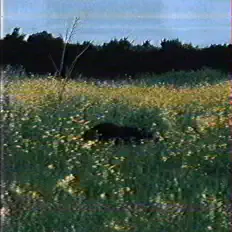 聆聽 solace void、觀看音樂影片、閱讀小傳、查看巡演日期等！