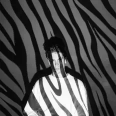 JokerBを聴いたり、ミュージックビデオを鑑賞したり、経歴やツアー日程などを確認したりしましょう！