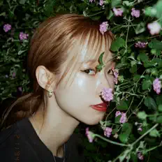 Ascolta sakurako, guarda video musicali, leggi la biografia, vedi le date del tour & altro!