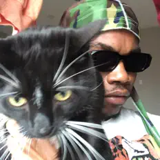 F Golden을(를) 듣고, 뮤직 비디오를 보고, 약력을 읽고, 투어 일정 등을 확인하세요!