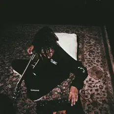 GNARLY: песни, клипы, биография, даты выступлений и многое другое.