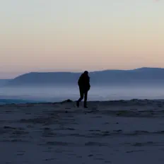 Listen to Oceanscapes, watch music videos, read bio, see tour dates & more!