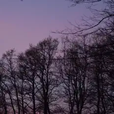 Listen to Leona, watch music videos, read bio, see tour dates & more!