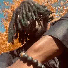 Okam! dinle, müzik videolarını izle, biyografisini oku, tur tarihlerini ve daha fazlasını gör!