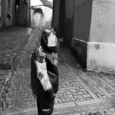 Laylan: песни, клипы, биография, даты выступлений и многое другое.