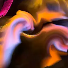 Cuadroped dinle, müzik videolarını izle, biyografisini oku, tur tarihlerini ve daha fazlasını gör!