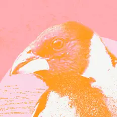 AxioM-R: песни, клипы, биография, даты выступлений и многое другое.