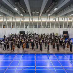 Basel Sinfoniettaを聴いたり、ミュージックビデオを鑑賞したり、経歴やツアー日程などを確認したりしましょう！