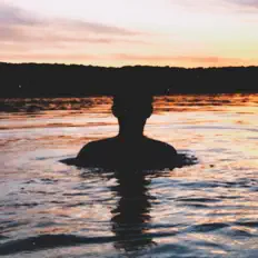 cauliflower सुनें, म्यूज़िक वीडियो देखें, बायो पढ़ें, दौरे की तारीखें और बहुत कुछ देखें!