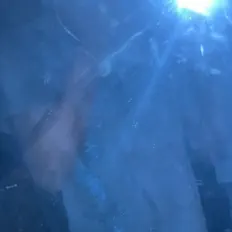 Poslechněte si interpreta Tice!, sledujte hudební videa, přečtěte si životopis, podívejte se na data turné a další informace.