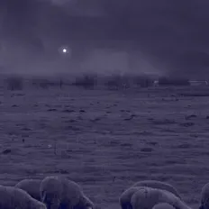 Écoutez Mountain View Music, regardez des vidéoclips, lisez la biographie, consultez les dates de tournée et plus encore !