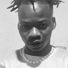 SonOfBellを聴いたり、ミュージックビデオを鑑賞したり、経歴やツアー日程などを確認したりしましょう！