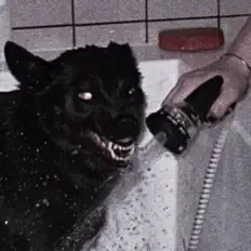 聆聽 CRVZYFVCE、觀看音樂影片、閱讀小傳、查看巡演日期等！