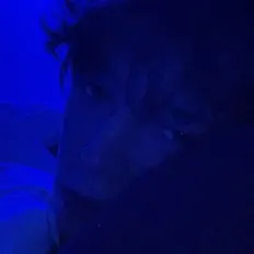 Ascolta kqm, guarda video musicali, leggi la biografia, vedi le date del tour & altro!