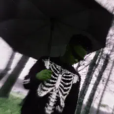 收听 128youngin、观看音乐视频、阅读小传、查看巡演日期等 ！