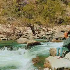 聆聽 Johnson Forest、觀看音樂影片、閱讀小傳、查看巡演日期等！