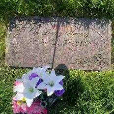 Ouve BCM CaptainHook, vê vídeos de música, lê a biografia, vê as datas da digressão e muito mais!