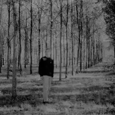 Escucha a Cole Crawford, mira videos musicales, lee su biografía, consulta las fechas de las gira y más.