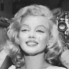 收听 ZAE、观看音乐视频、阅读小传、查看巡演日期等 ！