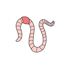 Escucha a Country Worms, mira videos musicales, lee su biografía, consulta las fechas de las gira y más.