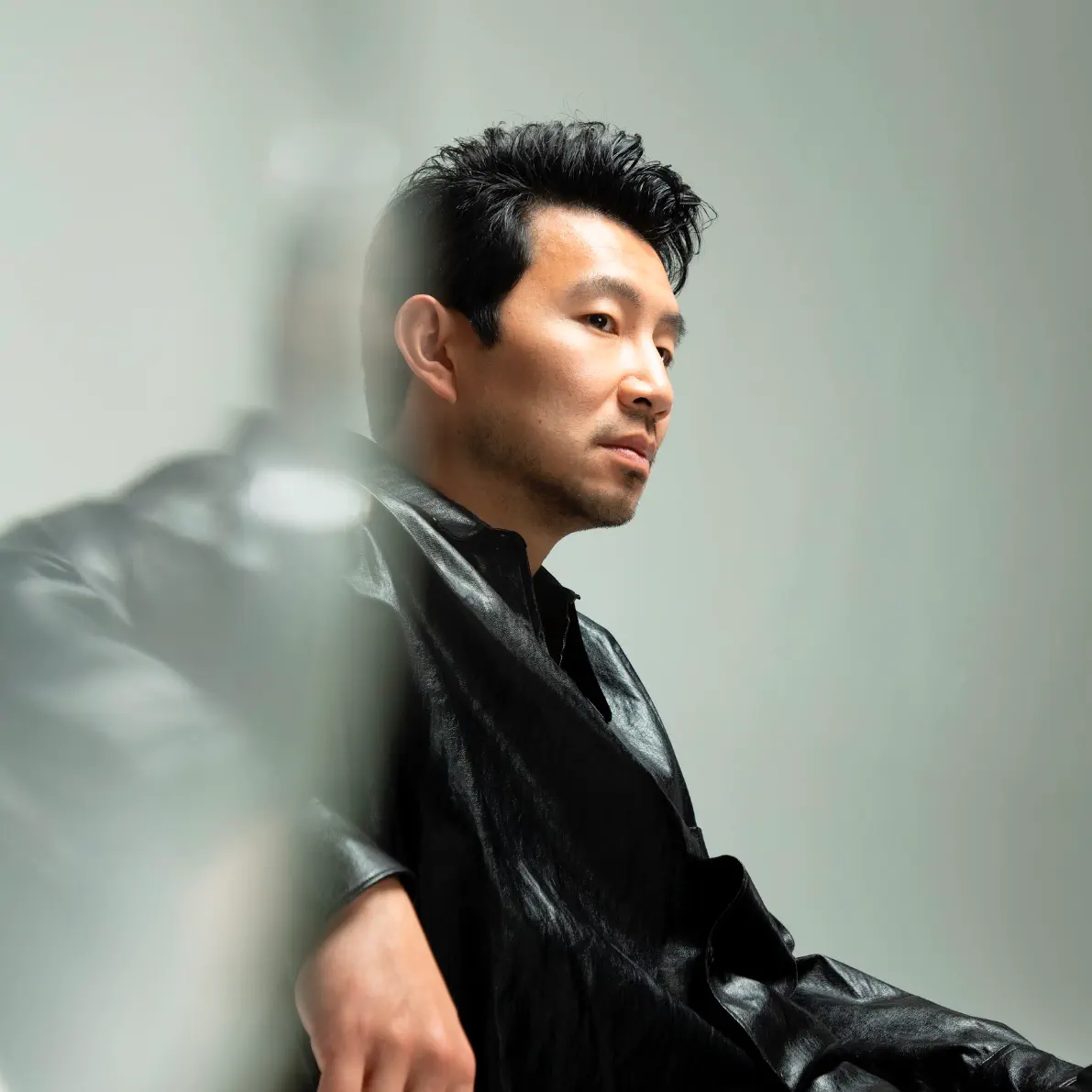 Simu Liu