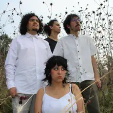 Listen to Disecada.h, watch music videos, read bio, see tour dates & more!