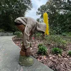 Listen to Steelo.nfe, watch music videos, read bio, see tour dates & more!