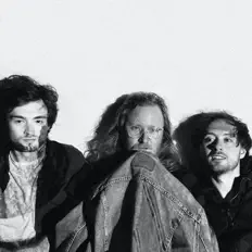 Listen to Stray Fossa, watch music videos, read bio, see tour dates & more!