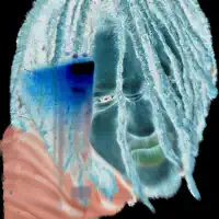 Listen to undefined, watch music videos, read bio, see tour dates & more!