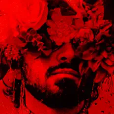 Sponsored Contentを聴いたり、ミュージックビデオを鑑賞したり、経歴やツアー日程などを確認したりしましょう！