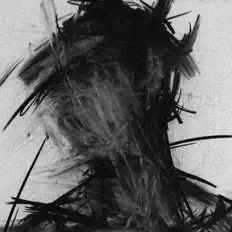 سيل을(를) 듣고, 뮤직 비디오를 보고, 약력을 읽고, 투어 일정 등을 확인하세요!