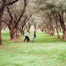 收听 Marlin Kites、观看音乐视频、阅读小传、查看巡演日期等 ！