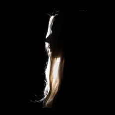 收听 Quiet Captivity、观看音乐视频、阅读小传、查看巡演日期等 ！