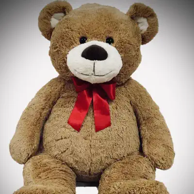 Listen to $innerbear, watch music videos, read bio, see tour dates & more!