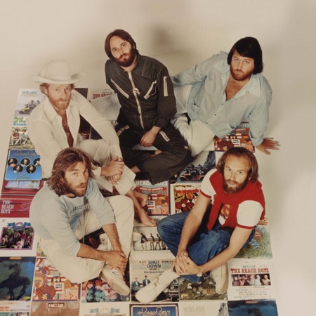 The Beach Boys artwork