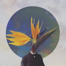 awaikaze: песни, клипы, биография, даты выступлений и многое другое.