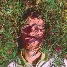 聆聽 Happa、觀看音樂影片、閱讀小傳、查看巡演日期等！