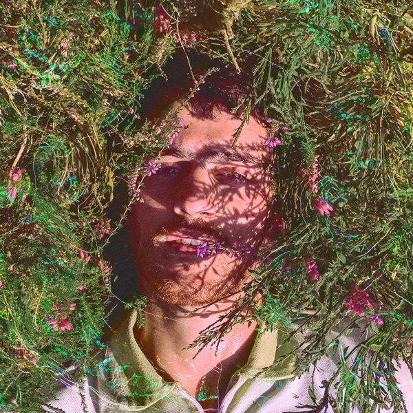 Happa's avatar